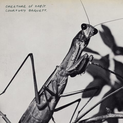 Courtney Barnett - Creature of Habit
