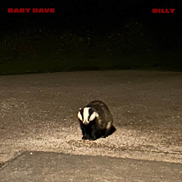 Baby Dave - billy