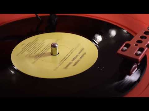 Wet Leg — Wet Leg - Chaise Longue Demo (45rpm Vinyl)